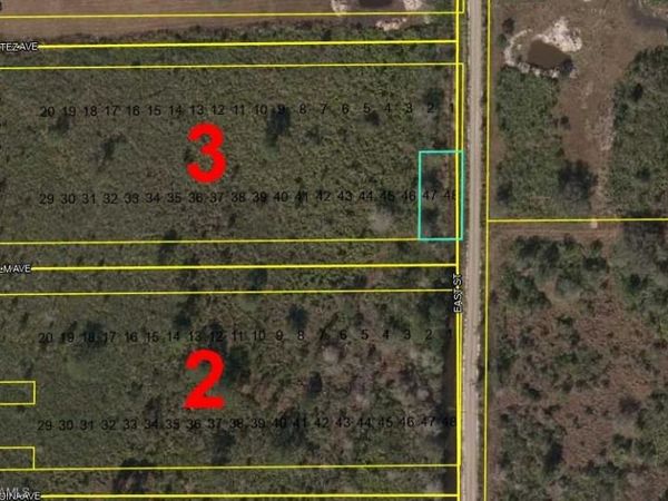 LOTS 47 + 48 Palm AVE, LABELLE, FL 33935