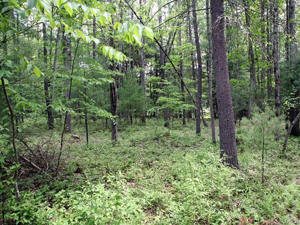 country Road , Callicoon, NY 12723