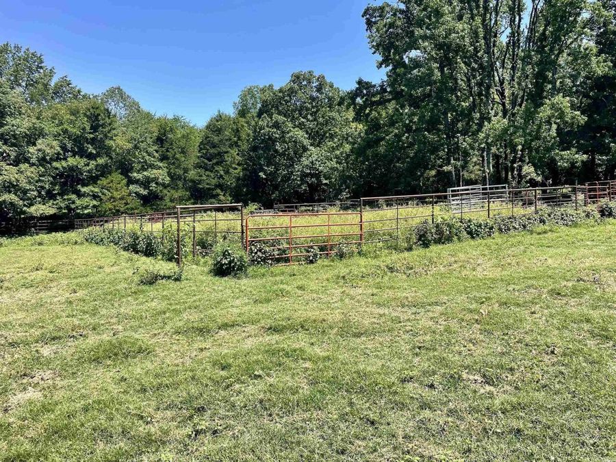 Property Image 45