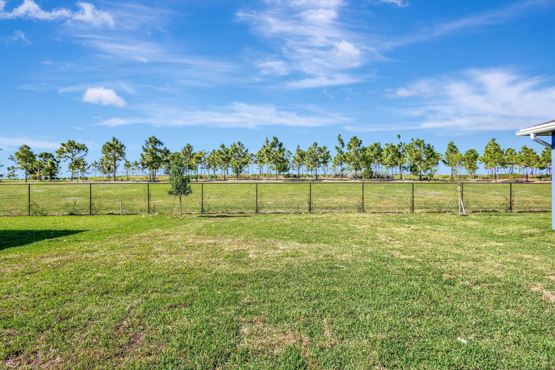 1549 Sawgrass Whisper Way, The Acreage, FL 33470 Photo