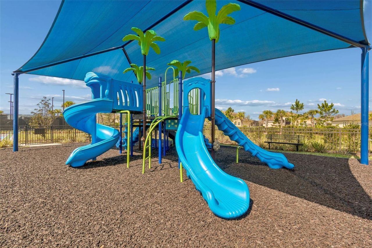 3416 Acacia Bay Avenue, Wesley Chapel, FL 33543 Photo