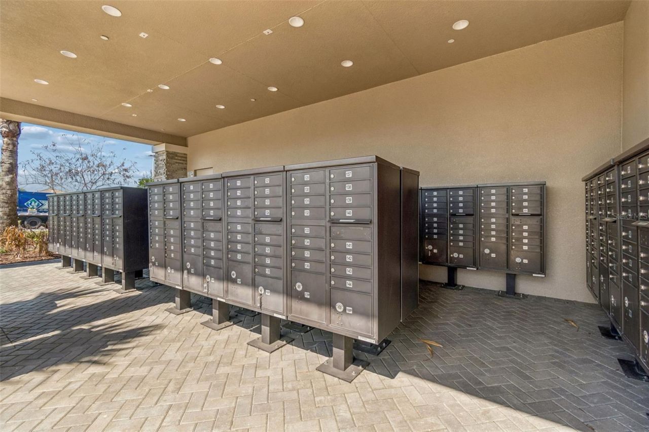 3416 Acacia Bay Avenue, Wesley Chapel, FL 33543 Photo