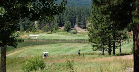 134 Quail View Circle, Clio, CA 96106 Photo