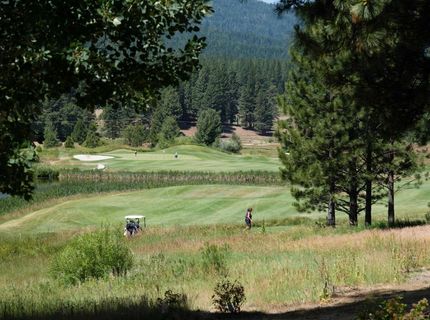 134 Quail View Circle, Clio, CA 96106 Photo