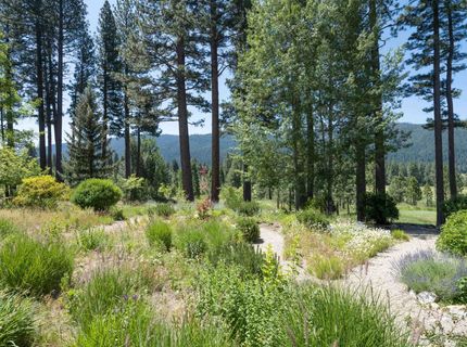 134 Quail View Circle, Clio, CA 96106 Photo