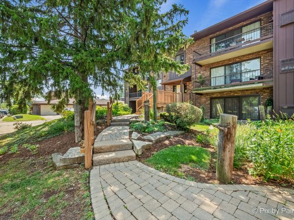 61 W Pier Drive , Unit 201, Westmont, IL 60559