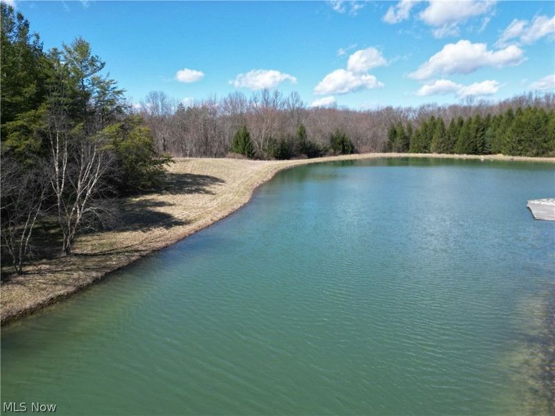 16474 Palmyra Road, Lake Milton, OH 44429 Photo 15