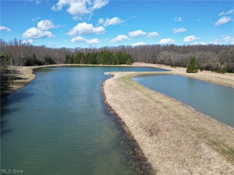 16474 Palmyra Road, Lake Milton, OH 44429 Photo 16