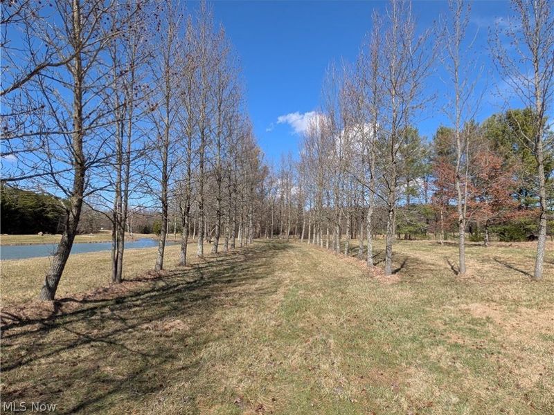 16474 Palmyra Road, Lake Milton, OH 44429 Photo 44