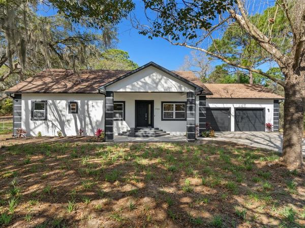 17835 ALEXSON STREET , SPRING HILL, FL 34610