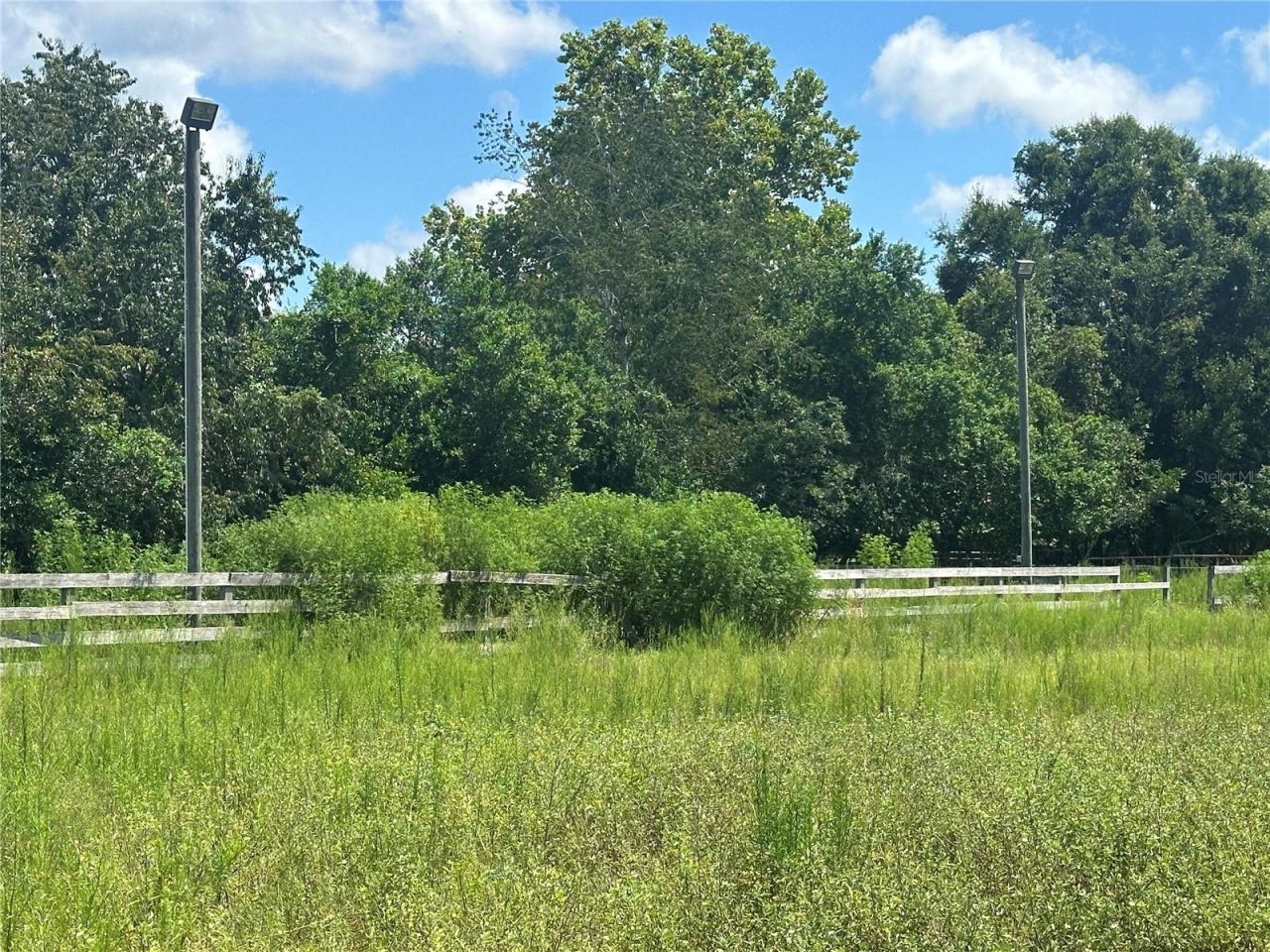 10553 NE 36th Avenue, Anthony, FL 32617 Photo