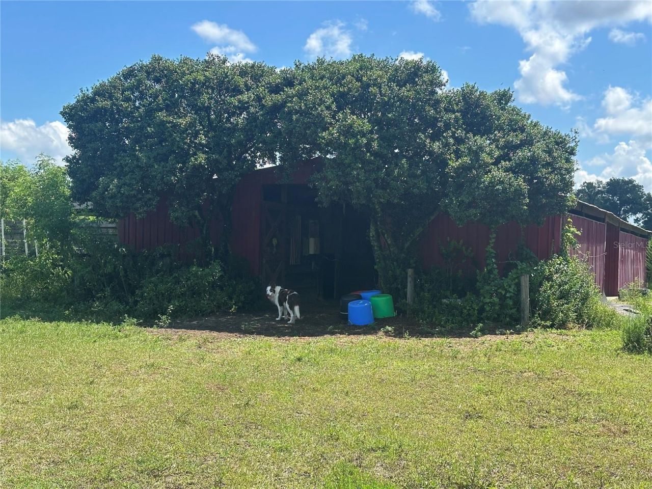 10553 NE 36th Avenue, Anthony, FL 32617 Photo