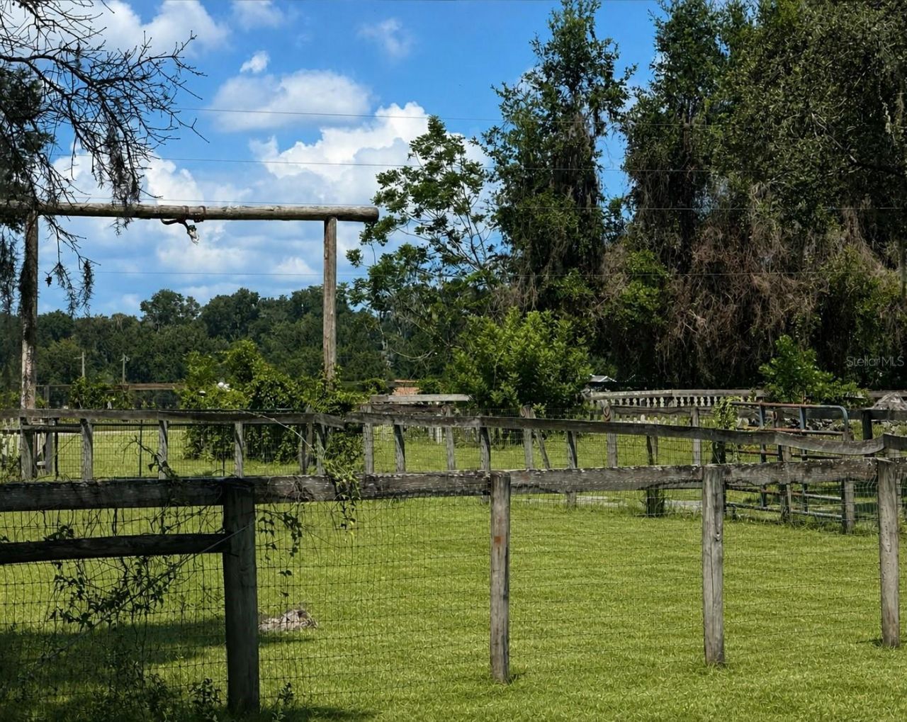 10553 NE 36th Avenue, Anthony, FL 32617 Photo