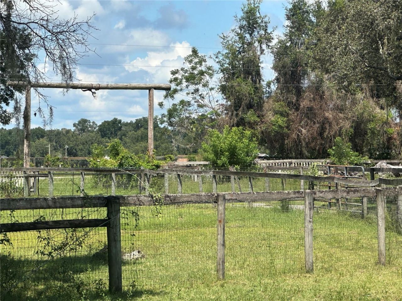 10553 NE 36th Avenue, Anthony, FL 32617 Photo
