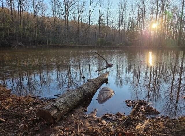 100 Hidden Hollow Lane , Dahlonega, GA 30533 Main Photo