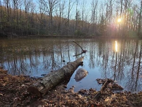 100 Hidden Hollow Lane , Dahlonega, GA 30533