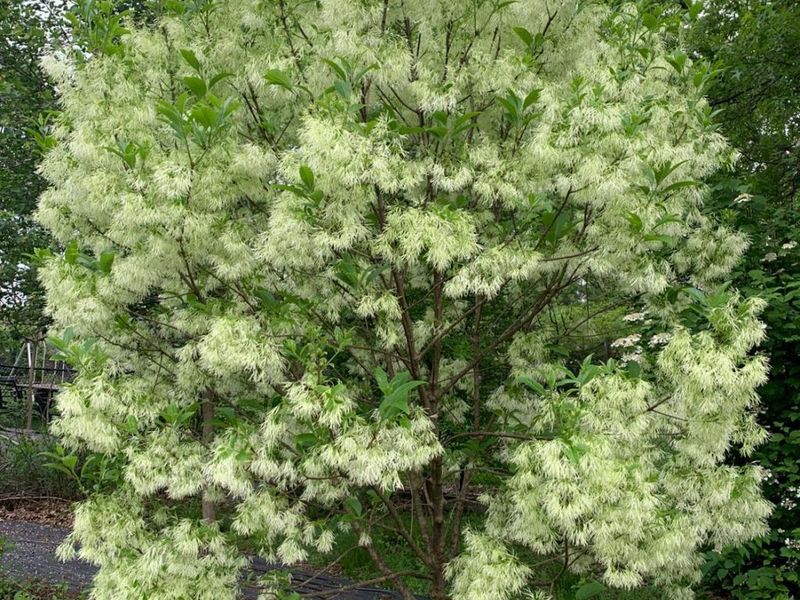 9485 Wynnecrest Drive, Blue Ash, OH 45242 Photo 23