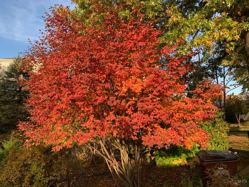 9485 Wynnecrest Drive, Blue Ash, OH 45242 Photo 25