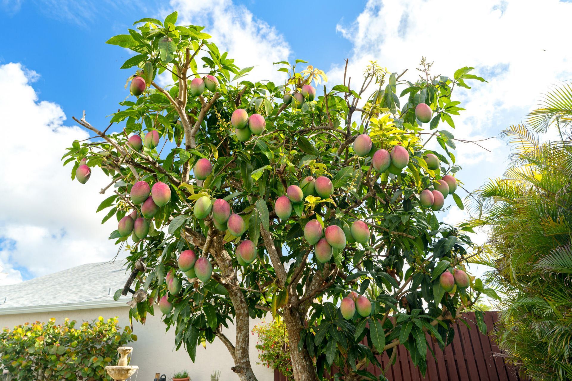 22359 Sea Bass Drive, Boca Raton, FL 33428 Photo