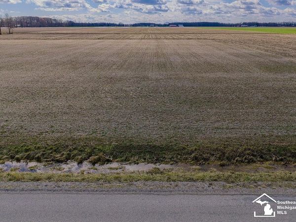 E Newburg Road, Carleton, MI 48117