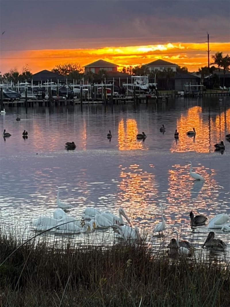 1151 Riverscape Street, Unit 1151, Bradenton, FL 34208 Photo