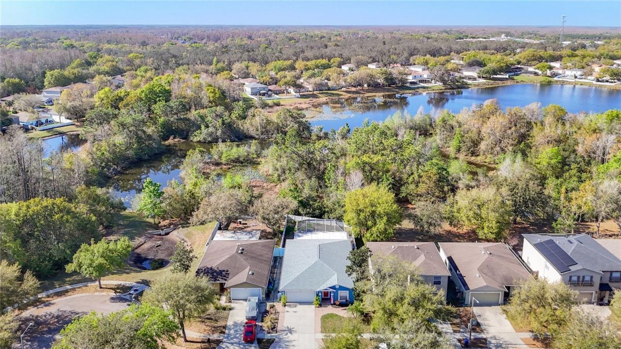 14034 Noble Park Drive, Odessa, FL 33556 Photo