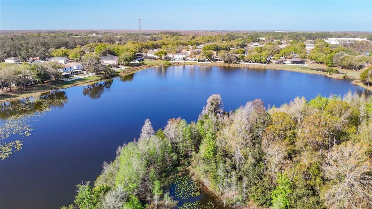 14034 Noble Park Drive, Odessa, FL 33556 Photo