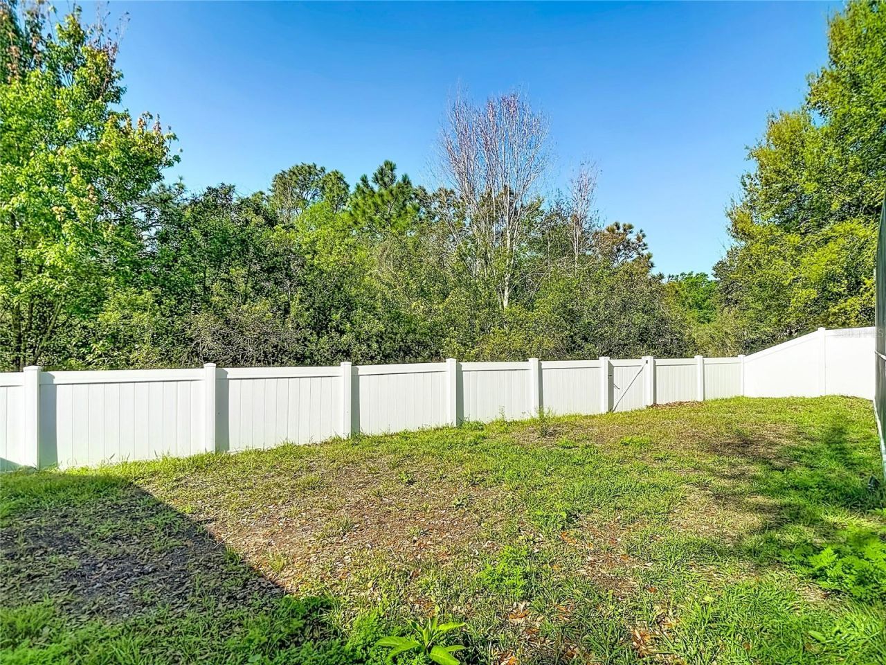 14034 Noble Park Drive, Odessa, FL 33556 Photo