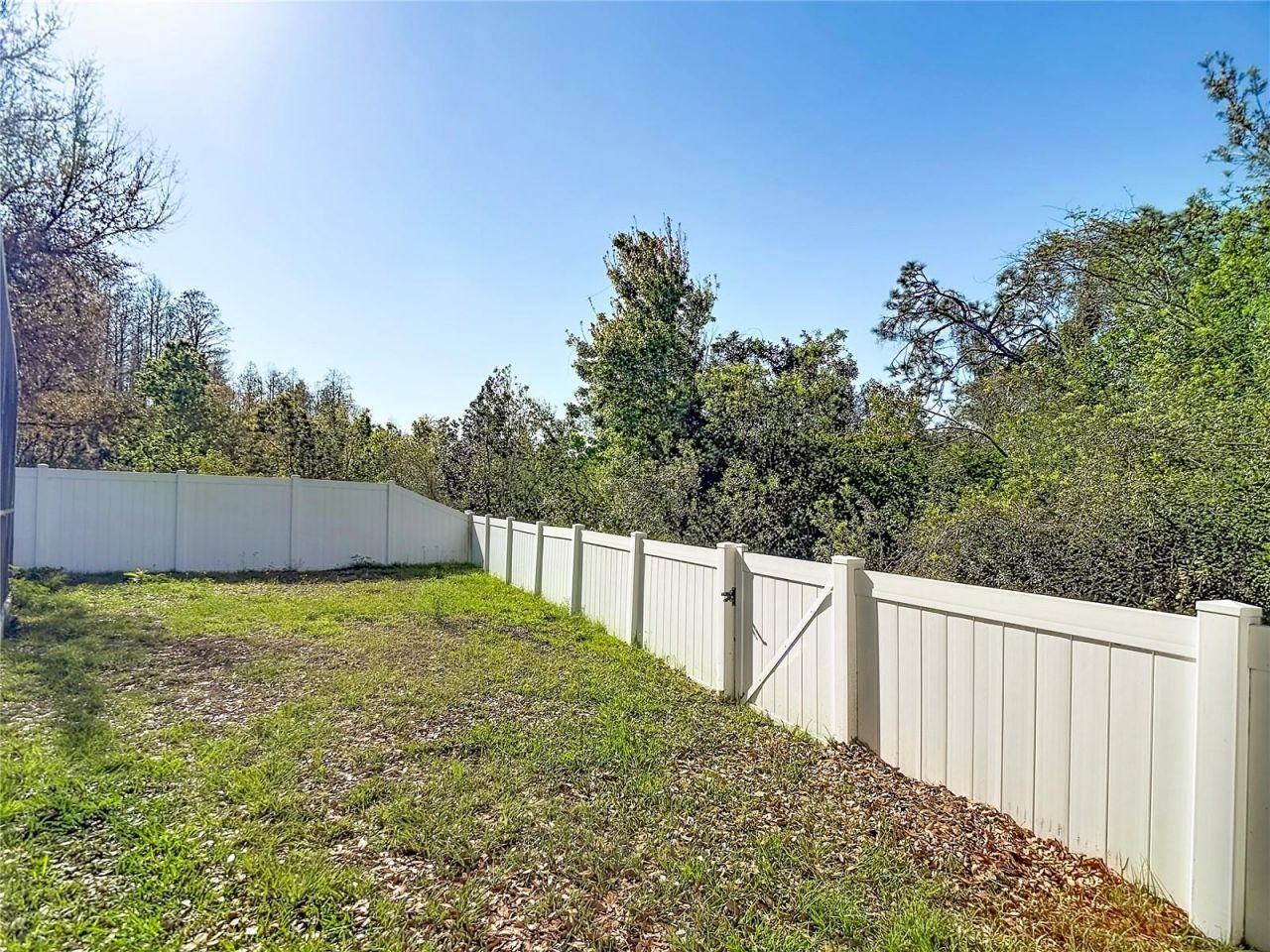14034 Noble Park Drive, Odessa, FL 33556 Photo