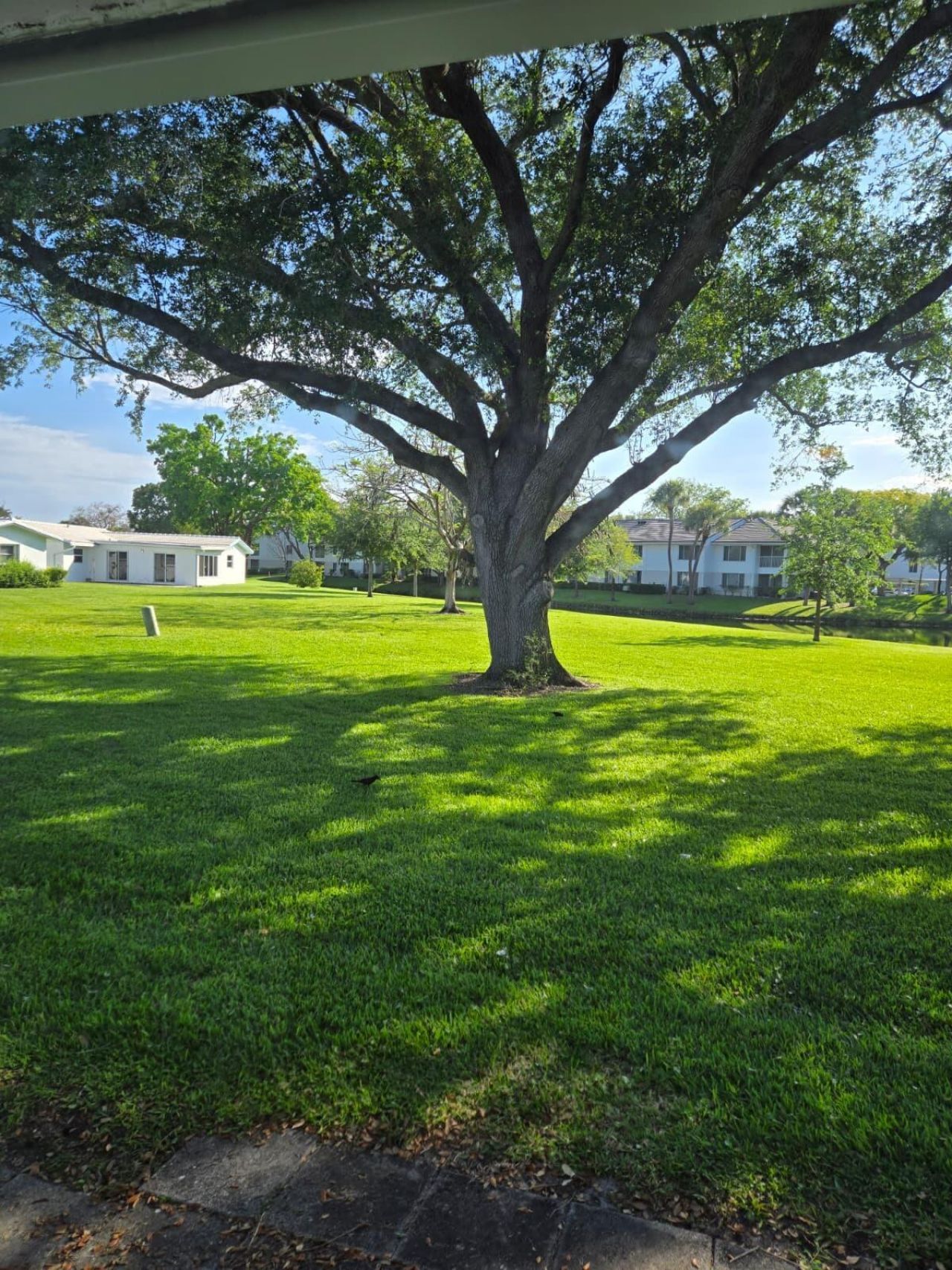 8423 NW 12th Street, Unit C67, Plantation, FL 33322 Photo