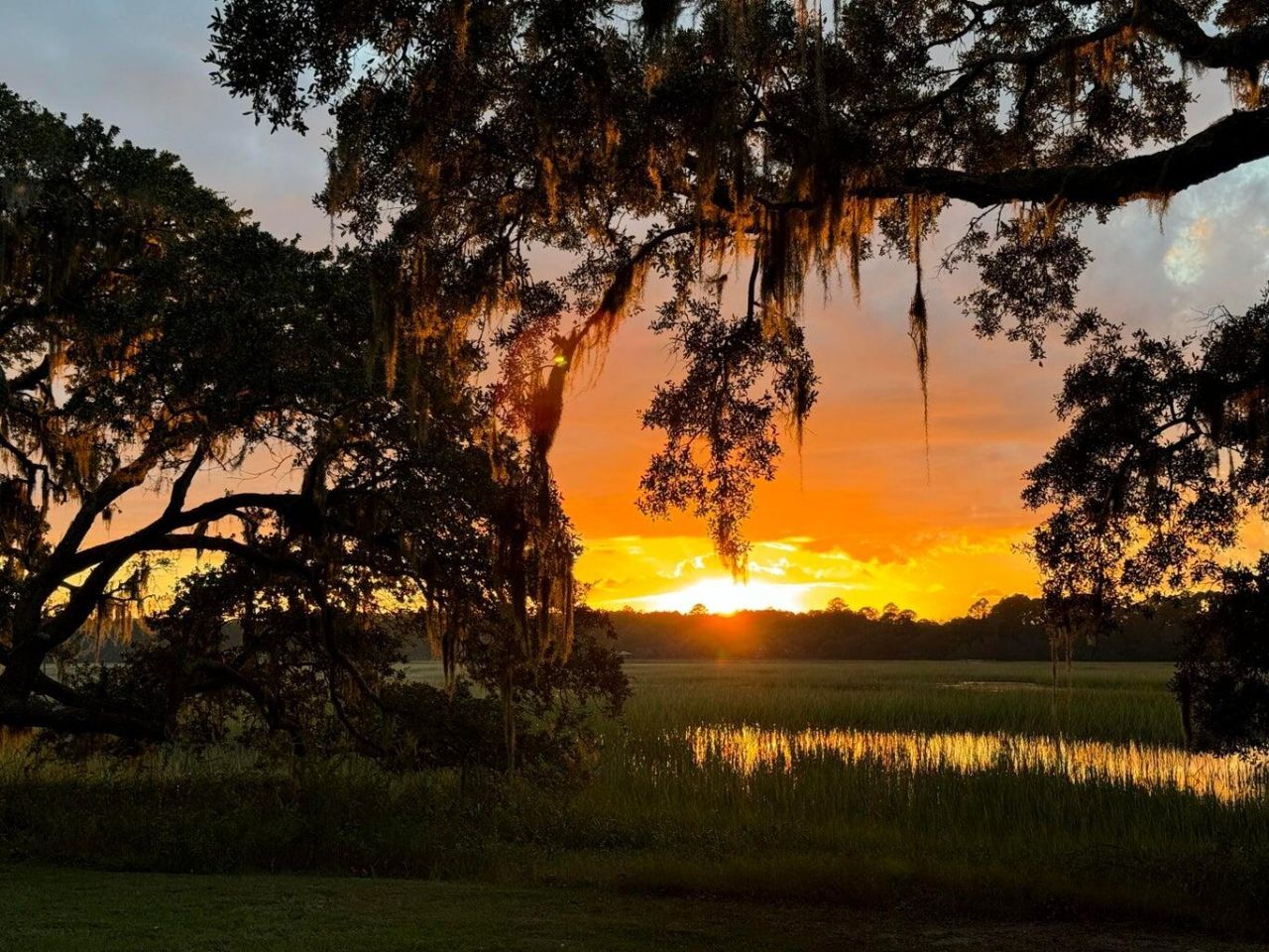 3398 Freeman Hill Road Photo 12