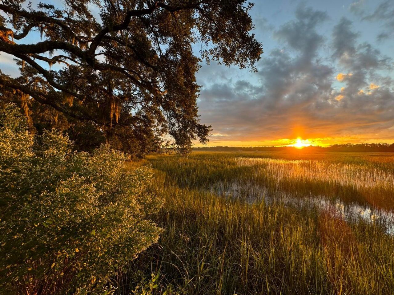 3398 Freeman Hill Road Photo 14