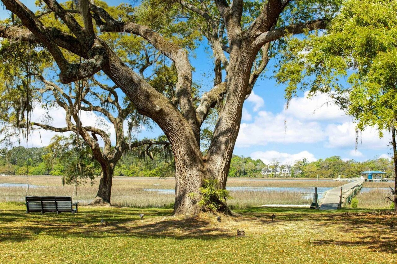 3398 Freeman Hill Road Photo 21