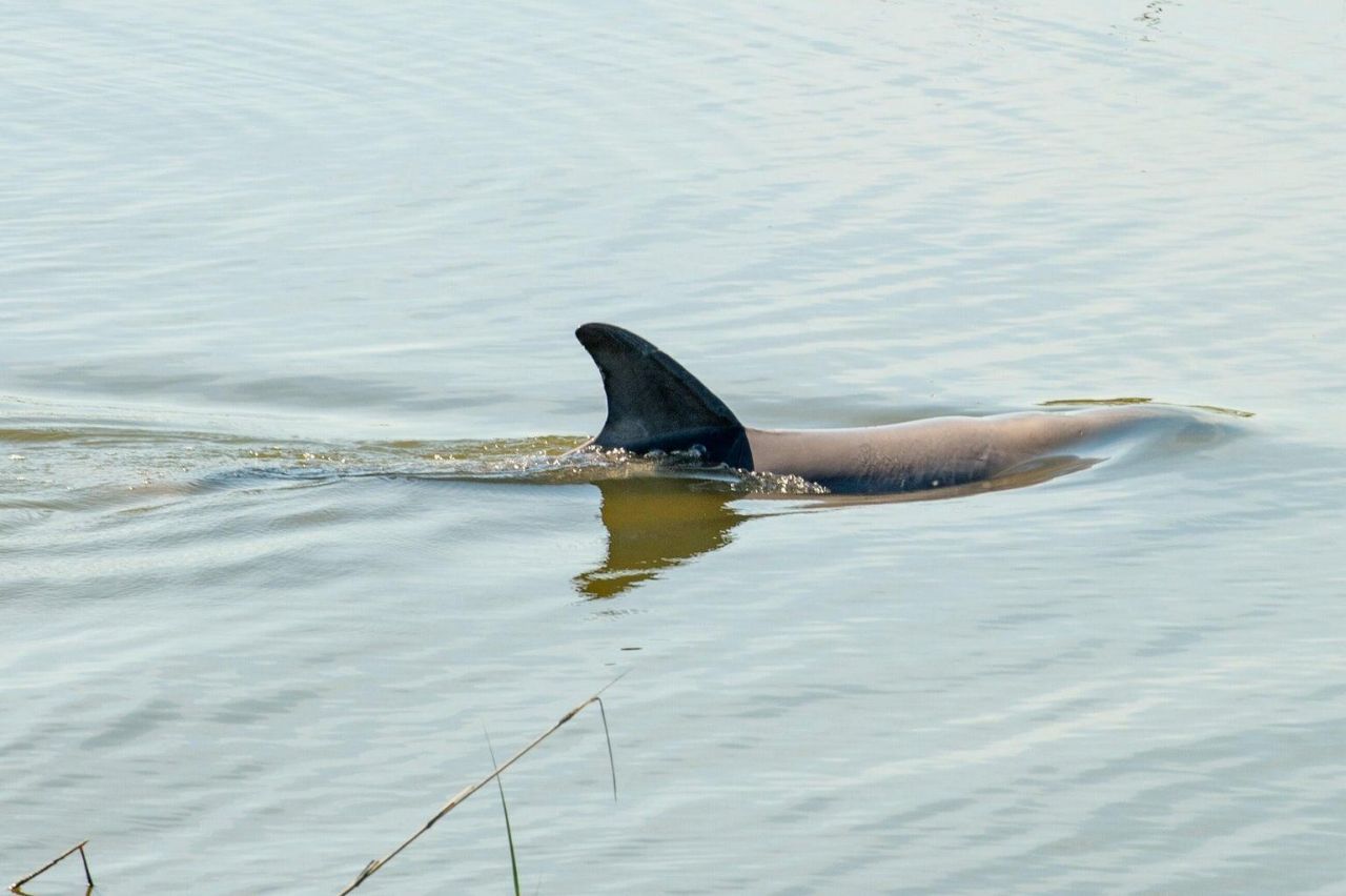 3398 Freeman Hill Road Photo 22