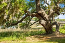 3398 Freeman Hill Road photo 4