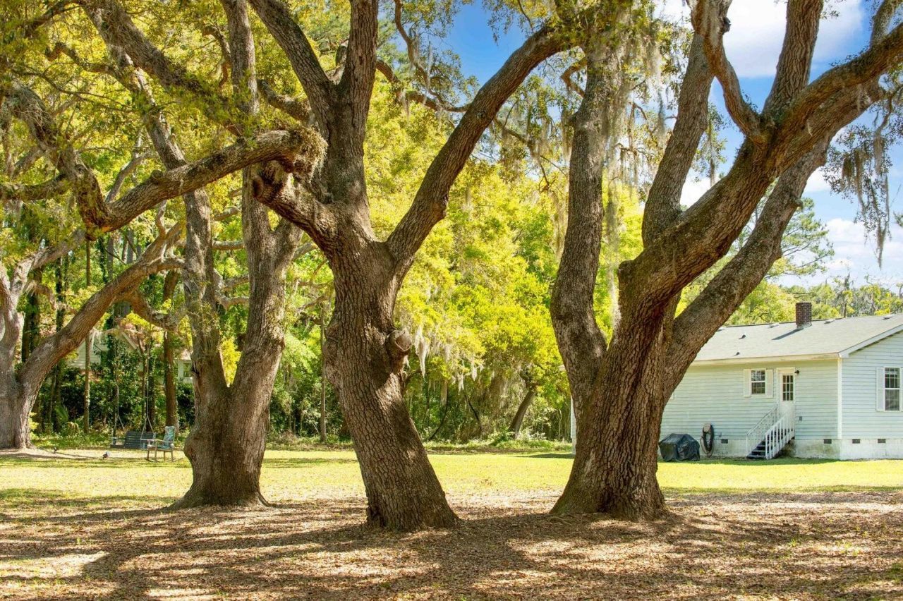 3398 Freeman Hill Road Photo 7