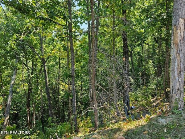 Lot 13-AR Villa Ridge Place, Sevierville, TN 37862