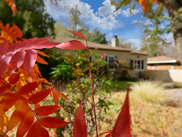 821 Solano Drive NE, Albuquerque, NM 87110