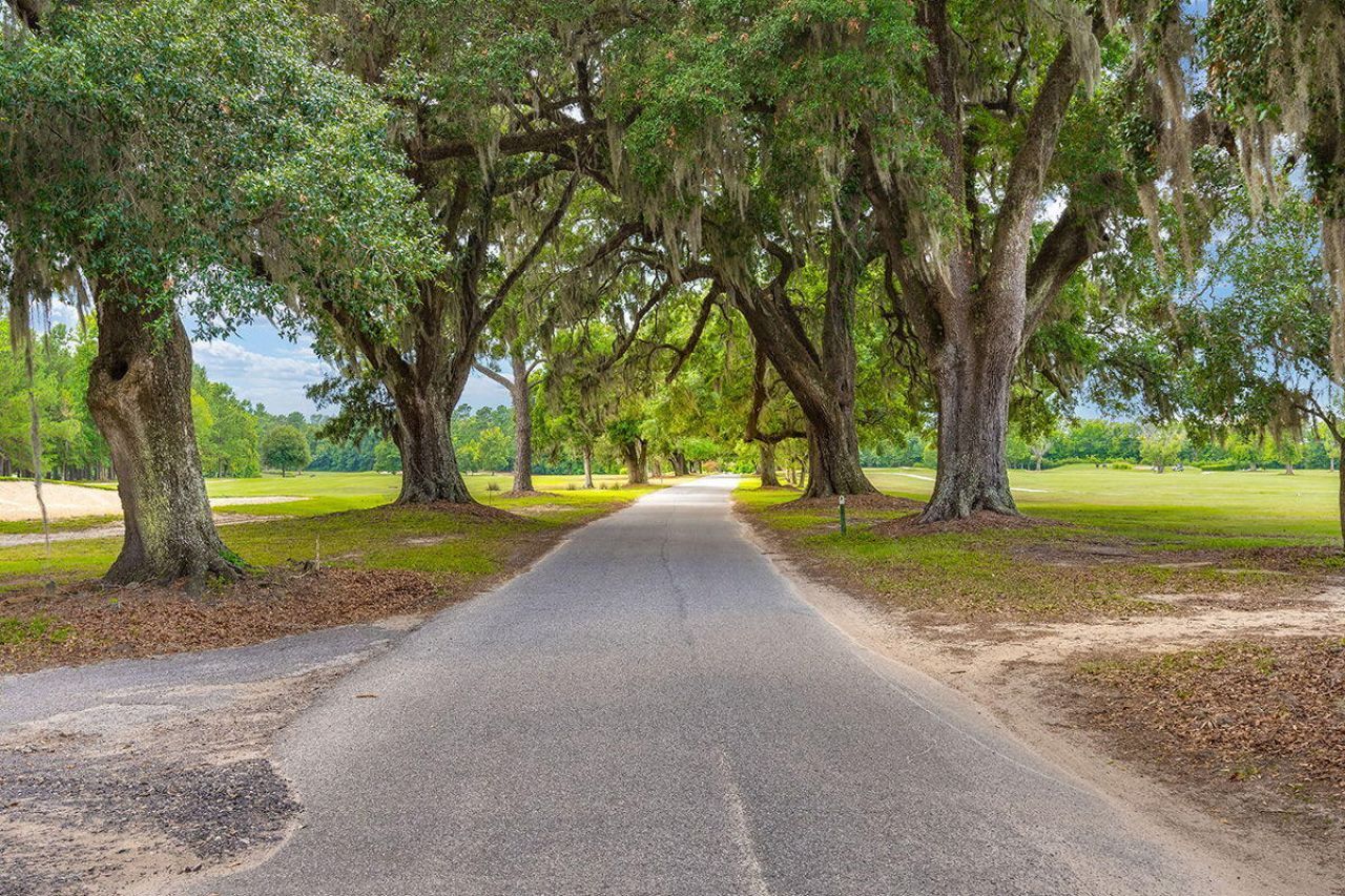 1306 Mccrae Drive Photo 41