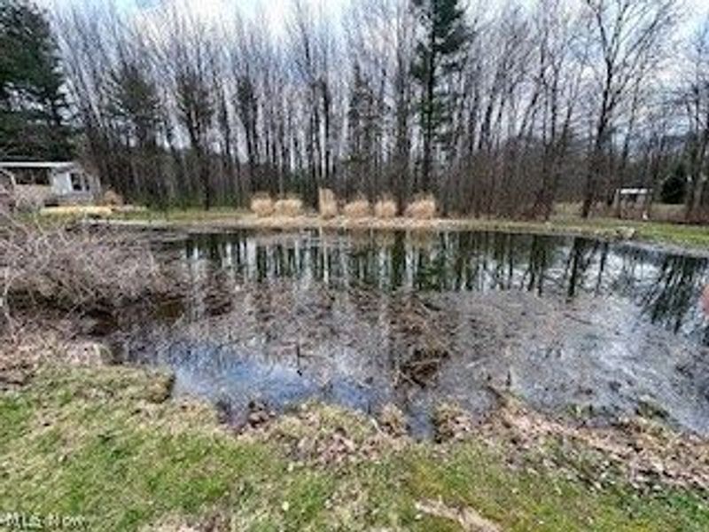 5740 Marvin Road, Andover, OH 44003 Photo 16