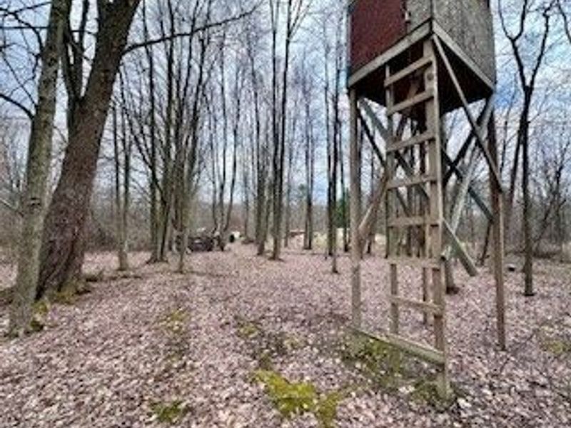 5740 Marvin Road, Andover, OH 44003 Photo 17