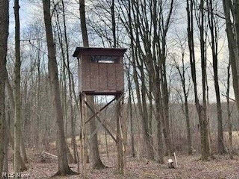 5740 Marvin Road, Andover, OH 44003 Photo 18