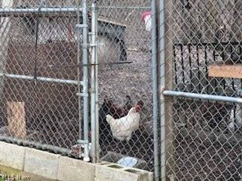 5740 Marvin Road, Andover, OH 44003 Photo 9