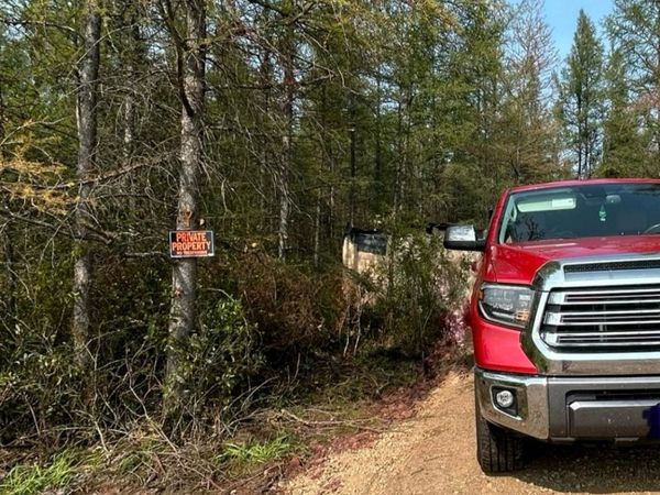 10179 W Town Line Road, Cherry Twp, MN 55746