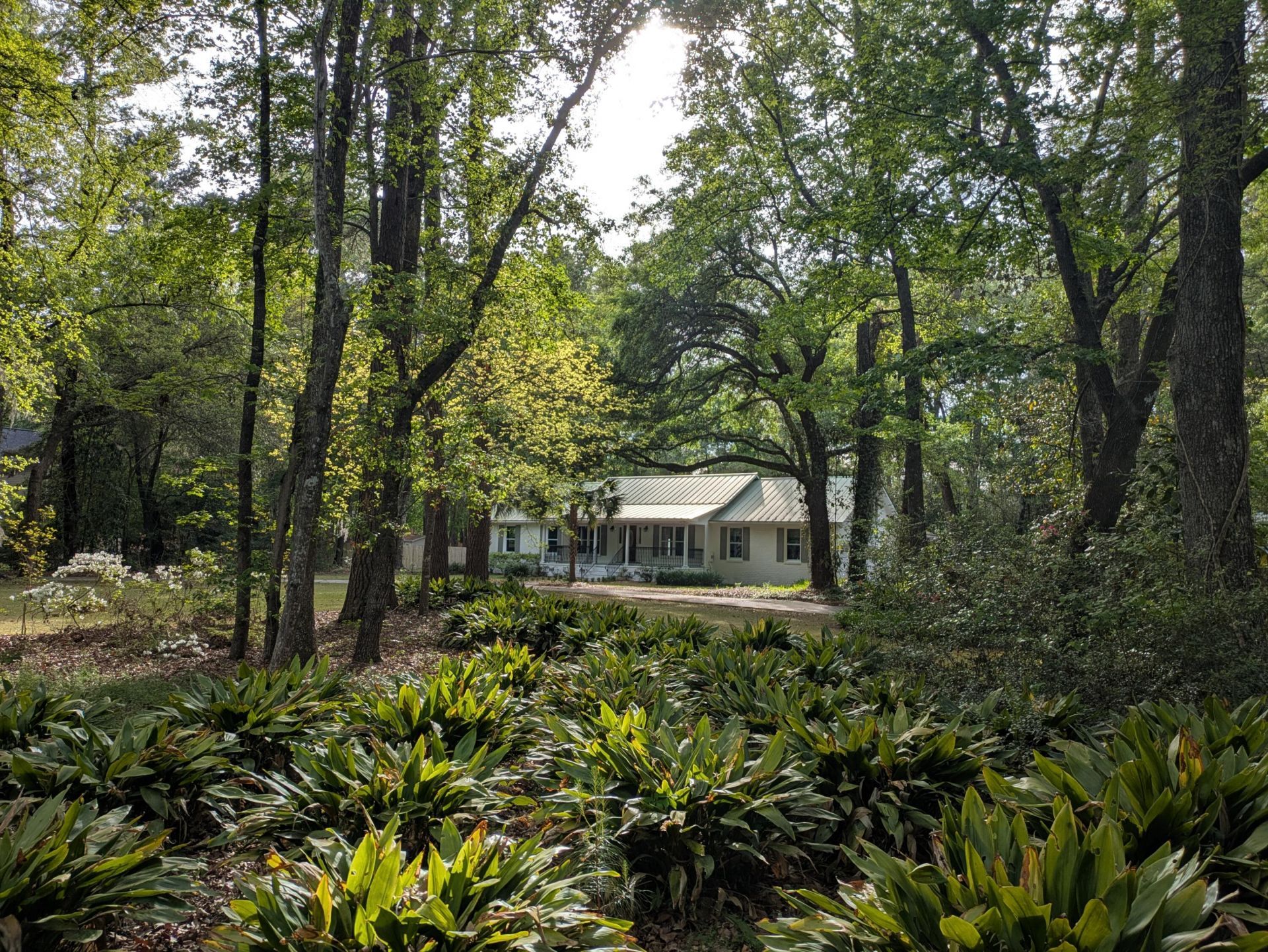 304 Woodland Drive Photo 30