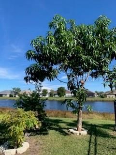 9975 Bishop Creek Way , Punta Gorda, FL 33950 Photo