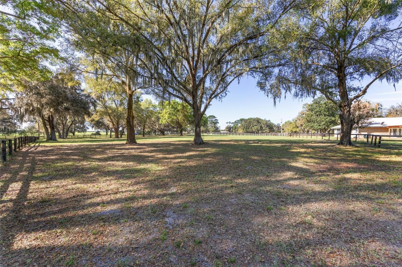 205 E Hwy 318, Citra, FL 32113 Photo