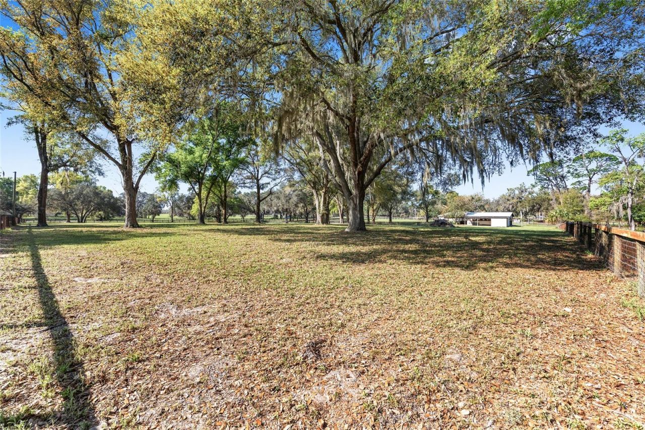 205 E Hwy 318, Citra, FL 32113 Photo
