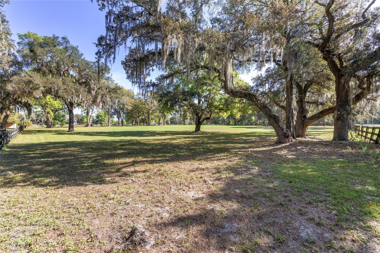 205 E Hwy 318, Citra, FL 32113 Photo