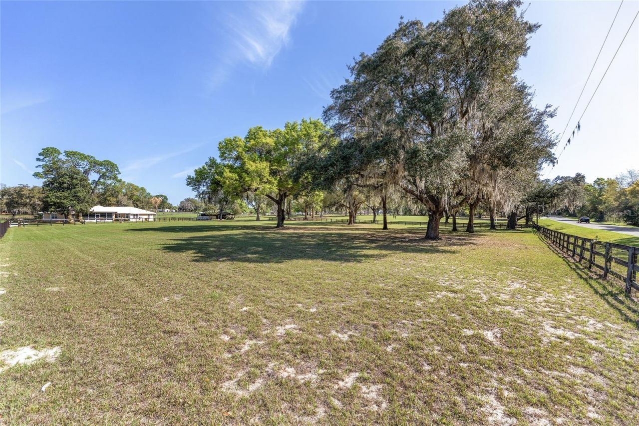 205 E Hwy 318, Citra, FL 32113 Photo